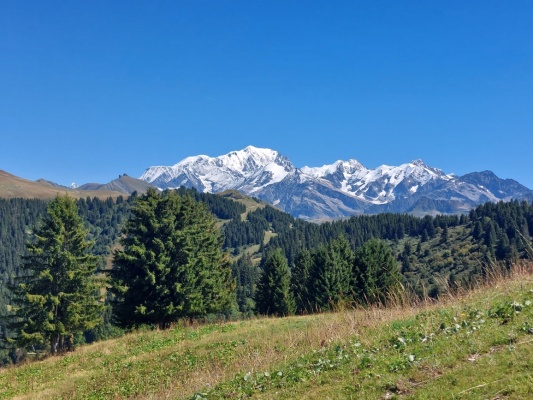 Summer 2025 seasonal rental rates