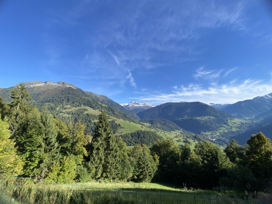 Support the forests of Beaufortain with SYLV'ACCTES