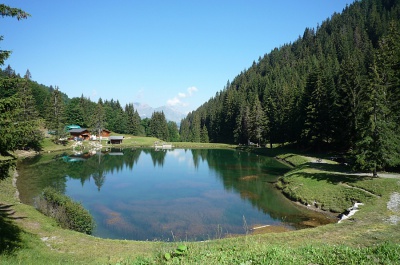 Mountain lake in the summer, Les Saisies, Savoy, french Alps